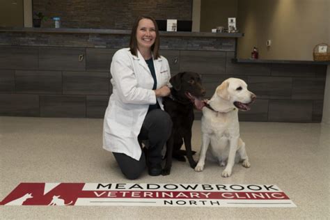 Meadowbrook vet - Meadowbrook Veterinary Clinic of Peoria, P.C. is a full-service veterinary medical facility, located in Peoria, Illinois. The professional and courteous staff seeks to …